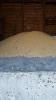 Prodaje se jedna tona soje u zrnu, dobrog kvaliteta cena je 50 din/kg